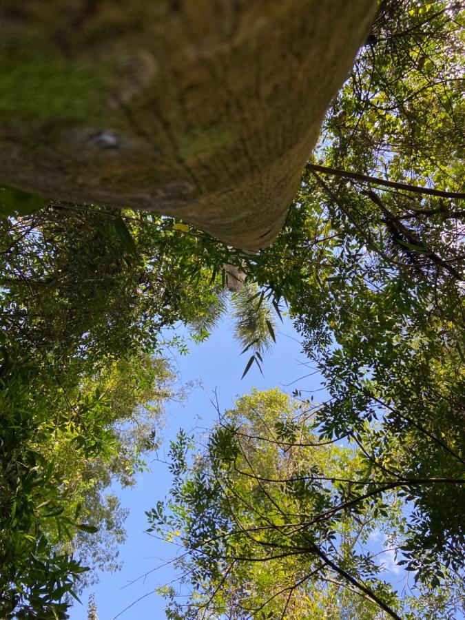 Sitio Metropole - Refugio Na Natureza Пиражу Экстерьер фото
